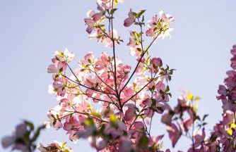 Die Villa bei Meran - Foto 45