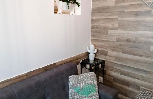 Cantinho do Ilhéu - Photo 85