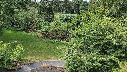 AH G3 OG - Foto 4, Garden, Garden view