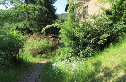 Ferienwohnungen Nibelungenwald - Foto 9