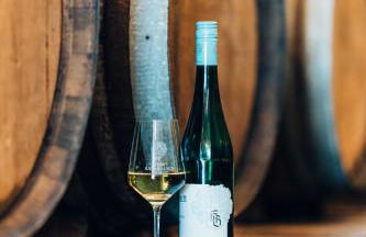 Weingut Hans Bausch - Foto 16