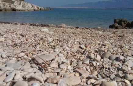 Apartman La maison - Foto 42