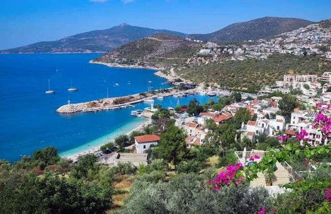 Reis Suits - Foto 41