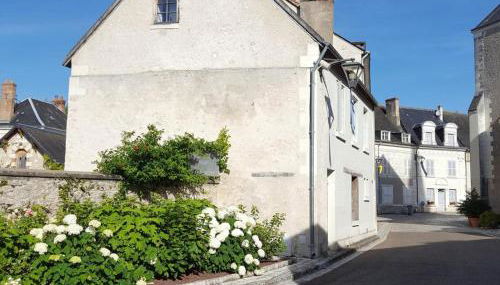 Gîte 18ème avec jardin, jeux, et ateliers cuisine près de l'Abbaye de Pontlevoy. - FR-1-491-349 - Photo 2