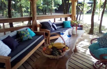 Domaine D'Erras -colibri - - Foto 18