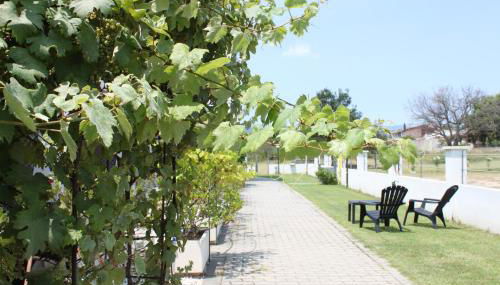 Binja Fortuna - Foto 3, Garden