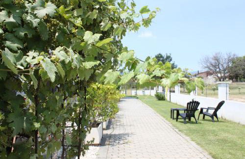 Binja Fortuna - Foto 3