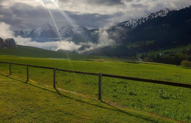 XXXTgèsa Hirundella - Foto 7