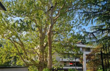 Ansitz Thierburg Suites - Foto 11