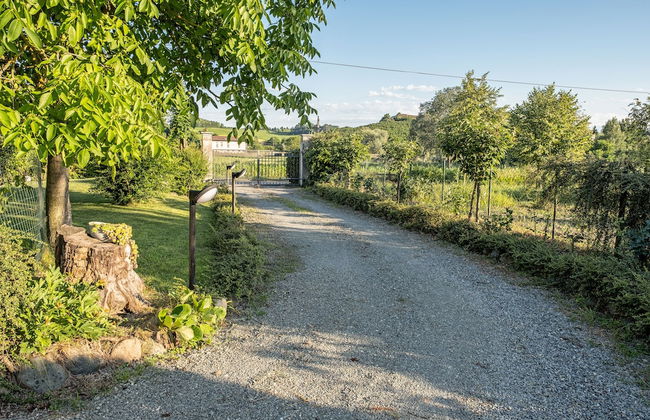 Villa Curte Nicia - Foto 70