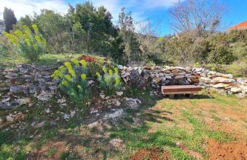 House Relic - Foto 19