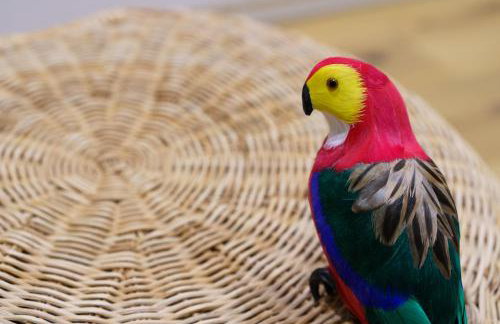 Komsi Group Apartments Genova - Foto 67