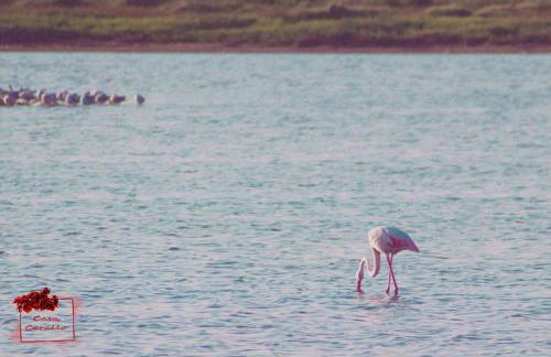 Casa Corallo in Baratili San Pietro - Foto 46