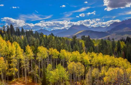 Buffalo Woods 216 - Wildernest - Foto 36