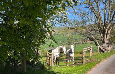 Mountain View Farm Cottage - Foto 21