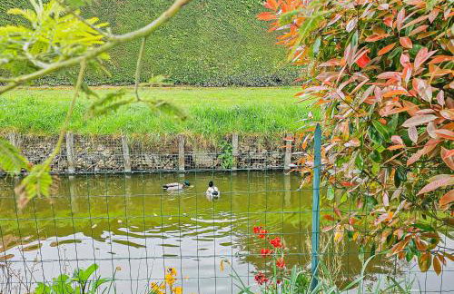 Cousinades and XXL family, terrace - Foto 6