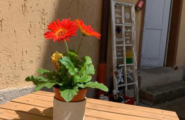 Für Gruppen und Familien - große Ferienwohnung Nähe Stadtpark, 4 Schlafzimmer, 2 Bäder, Terrasse, Parkplatz - Foto 35