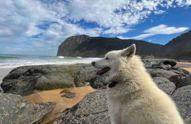 Villa Artegoikoa-Urdaibai, patrimonio de la UNESCO - Foto 34