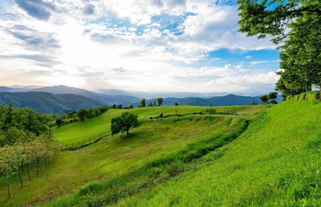 Serene Farmhouse in Dicomano With Swimming Pool - Photo 67