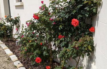 Les Jolis Nids - Appartement Perroquet - Foto 26