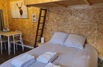 Studio en centre ville climatisé - Foto 1