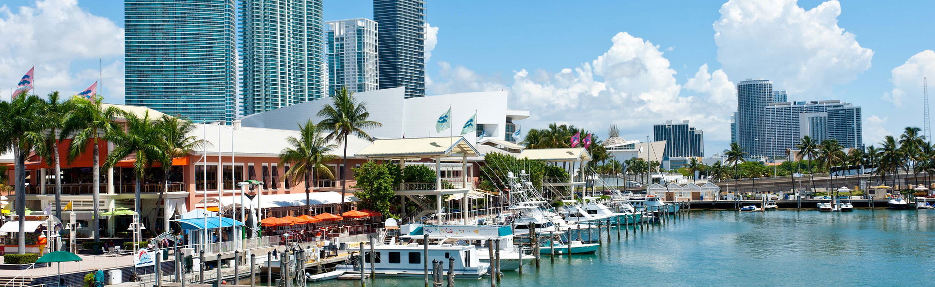 Oferta: Tour de Miami + Paseo en barco por Las Casas de los Famosos