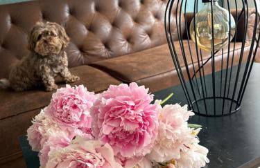 Ferienhaus nähe Stadtpark, renoviert, Businesswohnung, Monteurwohnung, Geschäftsreisendewohnung, Garten, Balkon,Parkplatz - Foto 1