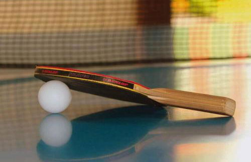 Luxury Villa in France with Pool - Foto 15