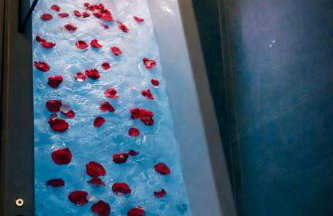 Santa Rosa Apartments - Foto 3