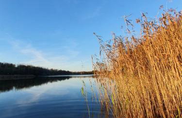 Schody do wody Domek z linią brzegową Kaszuby sauna goraca balia - Foto 63