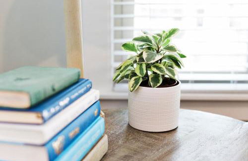 Elmwood Park Retreat Renovated 3 Bed 2 Bath DT - Foto 4