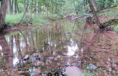 Historic Canal Home on Nature Preserve - Foto 76