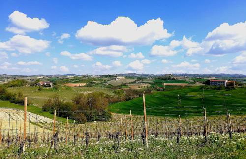 Agriturismo Bianconiglio - Foto 61