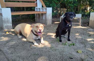 Pé na Areia - Casa para temporada - Foto 41