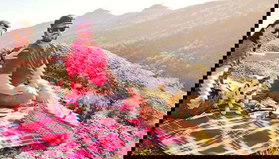 Disfrutando de un rico pícnic