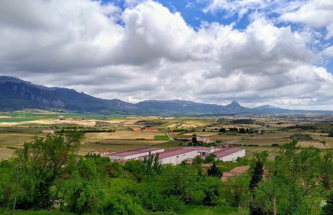 Tour privado por Laguardia - Photo 2