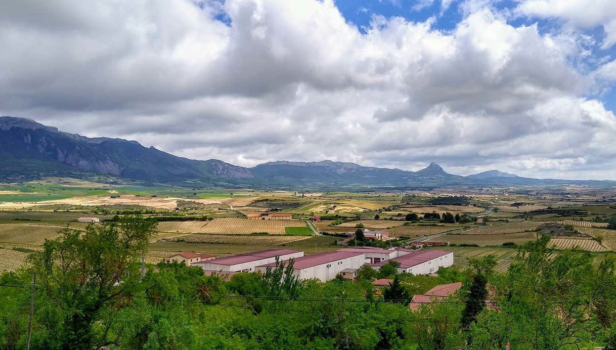 Tour privado por Laguardia - Photo 2