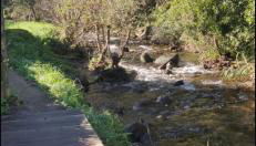 CASA CON FINCA PRIVADA - Foto 3