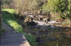 CASA CON FINCA PRIVADA - Foto 3