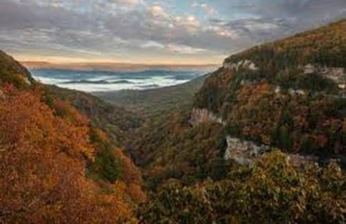 Covenant Cottage with outdoor dining - Foto 36