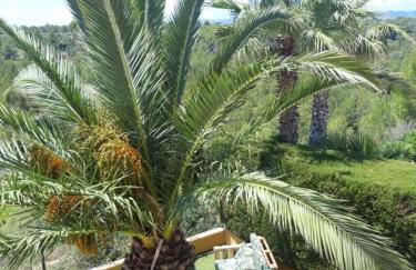 Buena Vista - Foto 23