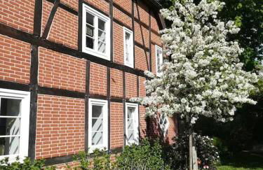 Apartment in ruhiger Wohnlage Sie sind in 3 Minuten am Trebbower See oder in 30 Minuten an der Ostsee - Foto 12