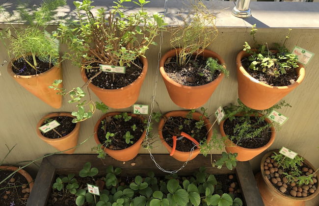 Eko Residence Hotel - Foto 78