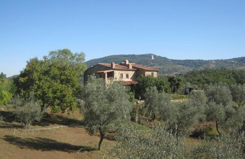 Sport Bikes and Nature - Foto 1