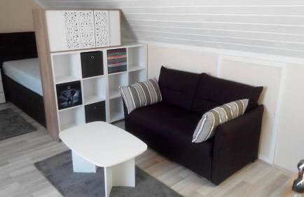 1 Zimmer Apartment mit Kochecke und Bad - Foto 4