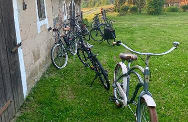 Siedlisko Wiłkupie, Dom na wzgórzu - Foto 47