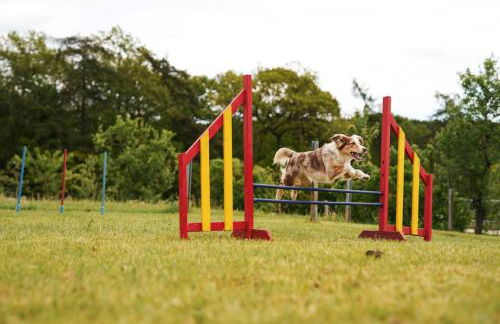 Hof Köhne - Kastanienhaus - Foto 37