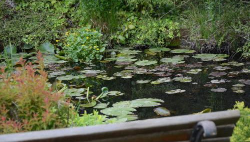 Le ginestre - Foto 2