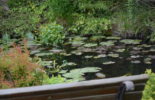 Le ginestre - Foto 2