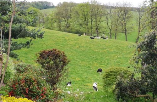 Ferienwohnung Traumblick - Foto 11